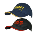 BMS-Cap NEU