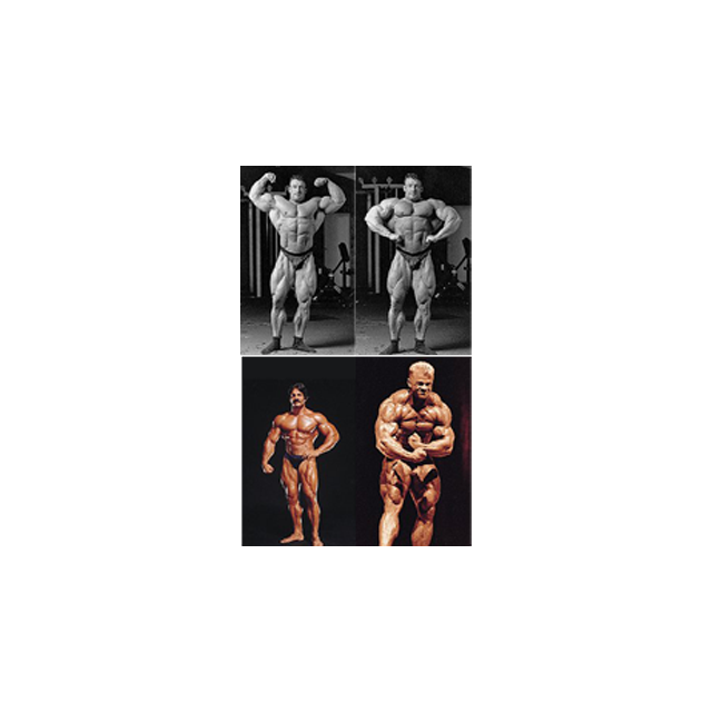 Poster - Dorian Yates Latpose - Poster 2