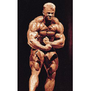 Poster - Dorian Yates Latpose - Poster 2