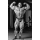 Poster - Dorian Yates Latpose - Poster 2