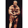 Poster - Dorian Yates Latpose - Poster 2